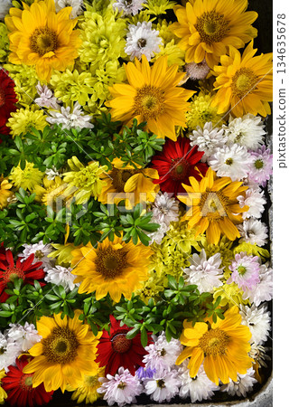 Hanatemizu 134635678