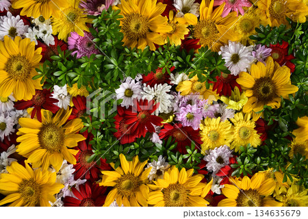 Hanatemizu 134635679