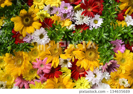 Hanatemizu 134635689