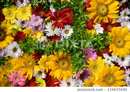 Hanatemizu 134635690