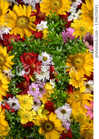 Hanatemizu 134635691