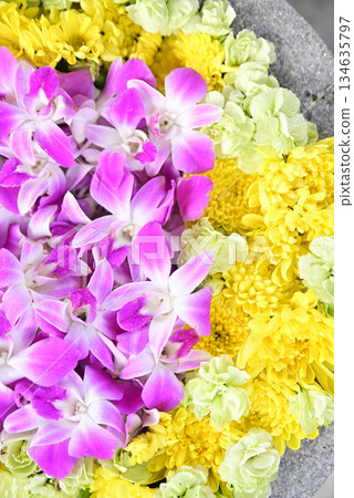 Hanatemizu 134635797