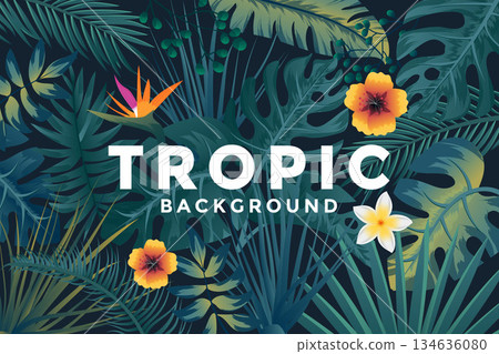 Tropical Background 2 134636080