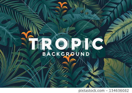 Tropical Background 4 134636082
