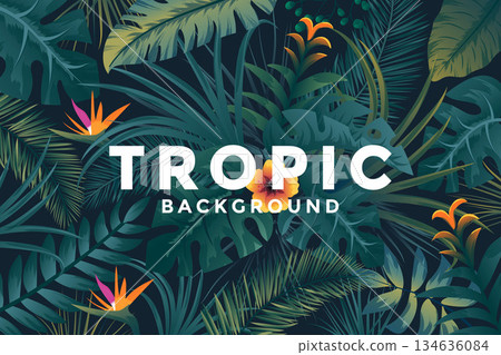 Tropical Background 5 Tropical Background 5 134636084