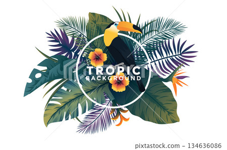 Tropical Background with frame - Bird And Plants 134636086