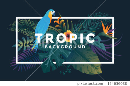 Tropical Background 5 Tropical Background 5 134636088