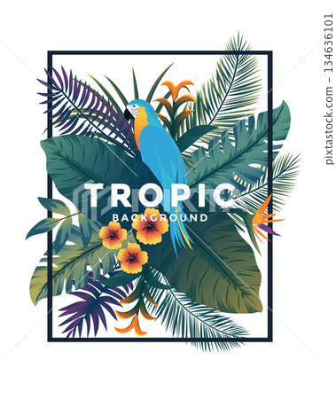Tropical Bakground with frame 2 134636101