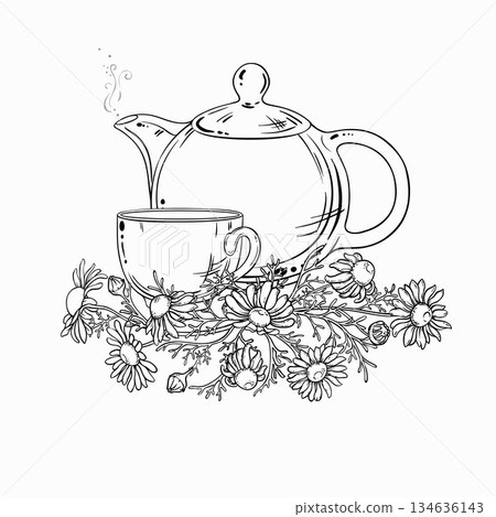 Chamomile Tea in Teapot Outline Illustration. Chamomile Tea in Teapot Outline Illustration. 134636143