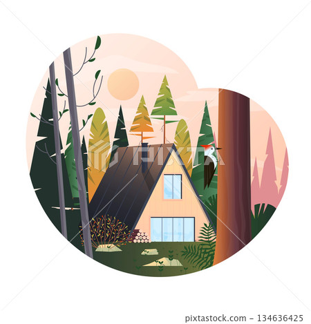Flat Modern design Illustration of Cabin Flat Modern design Illustration of Cabin 134636425