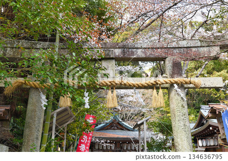 京都熊野若王子神社的春景(京都府京都市左京區) 京都熊野若王子神社的春景(京都府京都市左京區) 134636795