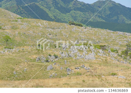 Spring 2025: Akiyoshidai with dead grass remaining. View of Jigokudai from Mt. Kanmuriyama. 134636869