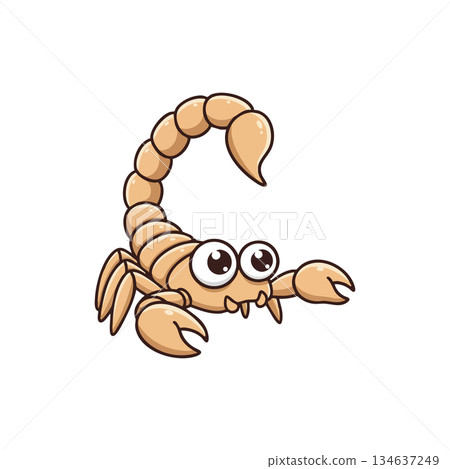 Scorpion vector illustration with cartoon style and big eyes isolated on white background for children design and education use Scorpion vector illustration with cartoon style and big eyes isolated on white background for children design and education use 134637249
