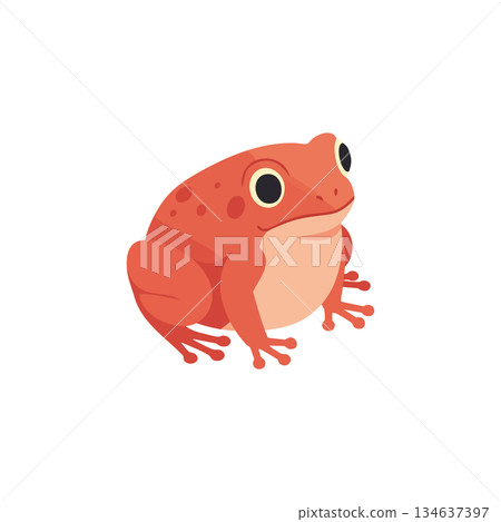 Red frog cartoon vector illustration with simple design isolated on white background for children and education use 134637397