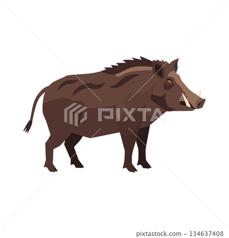 Wild boar standing side view vector illustration realistic brown animal nature wildlife design 134637408