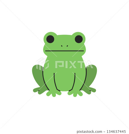 Green frog sitting flat with simple design cute amphibian animal vector illustration Green frog sitting flat with simple design cute amphibian animal vector illustration 134637445