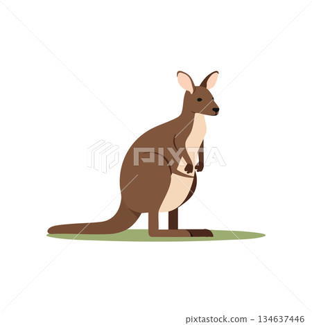 Kangaroo standing on grass vector illustration showing marsupial animal in natural pose brown color Kangaroo standing on grass vector illustration showing marsupial animal in natural pose brown color 134637446