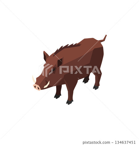 Wild boar vector illustration showing brown wild animal with tusks in simple geometric style 134637451