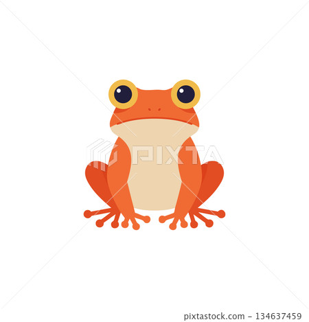 Red frog sitting with big eyes simple cute amphibian vector illustration isolated on white background 134637459