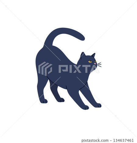 Black cat stretching with arched back and yellow eyes vector illustration for pet and animal design Black cat stretching with arched back and yellow eyes vector illustration for pet and animal design 134637461