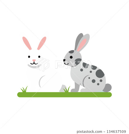 Two cute rabbits with white and grey spotted fur sitting on grass vector illustration 134637509
