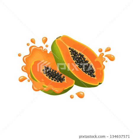 Papaya fruit halves with seeds and juice splash vector illustration fresh tropical food design Papaya fruit halves with seeds and juice splash vector illustration fresh tropical food design 134637571