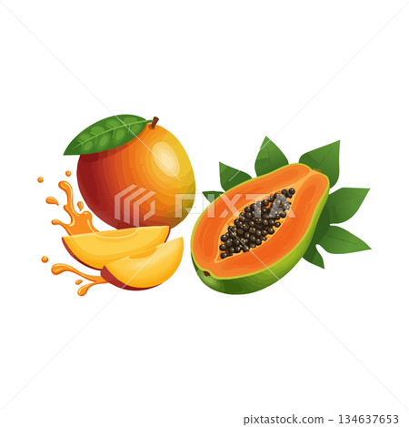 Mango and papaya fresh tropical fruit with juice splash healthy natural dessert vector illustration Mango and papaya fresh tropical fruit with juice splash healthy natural dessert vector illustration 134637653