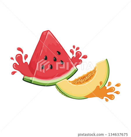 Watermelon and melon fruits with splashing juice vector illustration for fresh summer food design Watermelon and melon fruits with splashing juice vector illustration for fresh summer food design 134637675