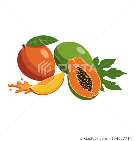 Papaya fruit with sliced piece and juice splash vector illustration showcasing fresh tropical food design elements 134637714