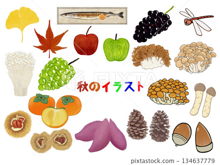 秋天的插圖集合 134637779