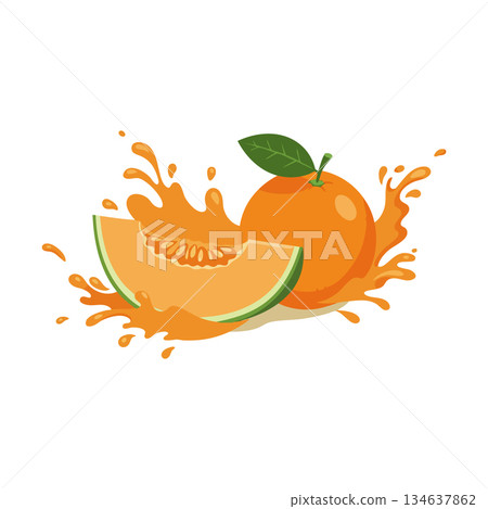 Orange and cantaloupe melon fruit with fresh juice splash healthy tropical food vector illustration 134637862