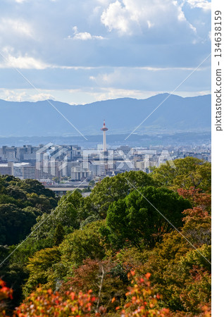 The view of Kyoto city skyline with blue sky and trees from kiyomizu-dera temple in Kyoto, Japan. Major tourist attraction in Kansai region in Japan. Travel concept. Japan cityscape. 134638159