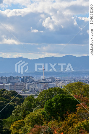 The view of Kyoto city skyline with blue sky and trees from kiyomizu-dera temple in Kyoto, Japan. Major tourist attraction in Kansai region in Japan. Travel concept. Japan cityscape. 134638160