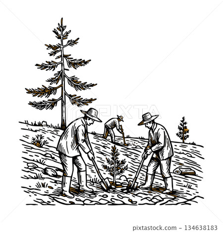 Tree planting activity with men digging soil and planting trees in forest reforestation effort vector illustration Tree planting activity with men digging soil and planting trees in forest reforestation effort vector illustration 134638183