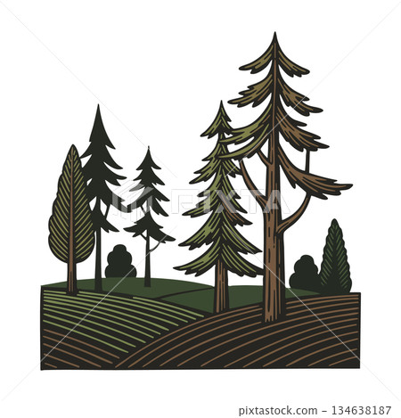 Evergreen trees forest landscape with textured ground and natural colors vector graphic design artwork Evergreen trees forest landscape with textured ground and natural colors vector graphic design artwork 134638187