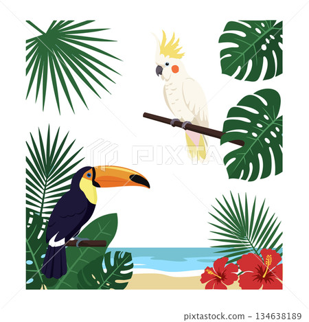 Tropical birds toucan and cockatoo with green leaves and red hibiscus flowers in beach setting vector illustration 134638189