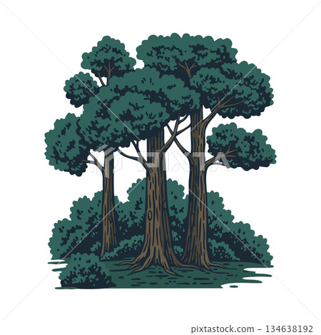 Group of large trees with dense green foliage and surrounding bushes in natural setting vector illustration 134638192
