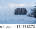Mild Seven Hill is a popular tourist destination, famous for its minimalist beauty in winter. A serene, snow covered hillside in Biei, Hokkaido, Japan. 134638372