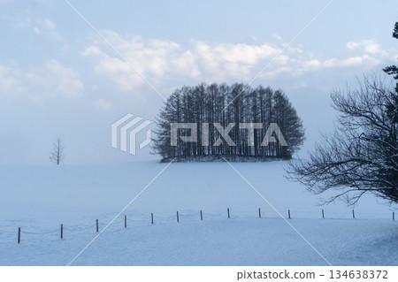 Mild Seven Hill is a popular tourist destination, famous for its minimalist beauty in winter. A serene, snow covered hillside in Biei, Hokkaido, Japan. Mild Seven Hill is a popular tourist destination, famous for its minimalist beauty in winter. A serene, snow covered hillside in Biei, Hokkaido, Japan. 134638372