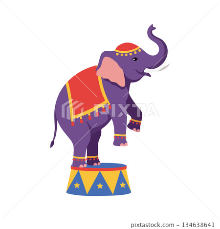 Purple circus elephant balancing on colorful decorated platform with red and yellow cloth and festive tassels vector illustration Purple circus elephant balancing on colorful decorated platform with red and yellow cloth and festive tassels vector illustration 134638641