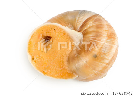 Dijon escargot snail filled with butter, tomato, garlic and cheese isolated on white background. Top view. Flat lay Dijon escargot snail filled with butter, tomato, garlic and cheese isolated on white background. Top view. Flat lay 134638742