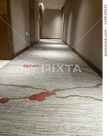 Hotel hallway carpet 134638835