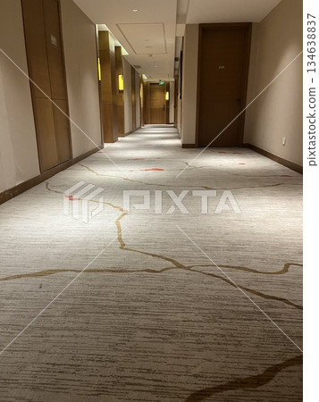 Hotel hallway carpet 134638837