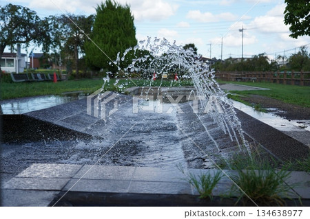 有噴泉的公園 有噴泉的公園 134638977