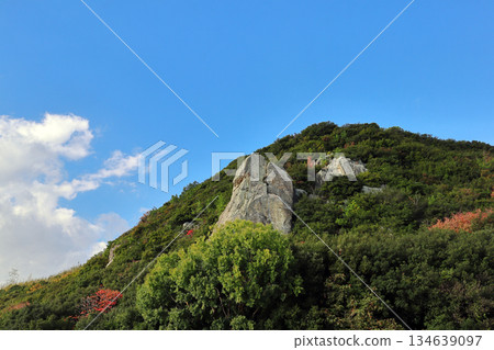 虎路山（兵庫縣） 134639097