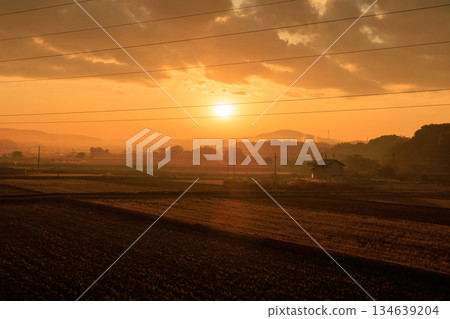 十二月的清晨陽光照耀著冬日的稻田和里山——日本鄉村景色 134639204