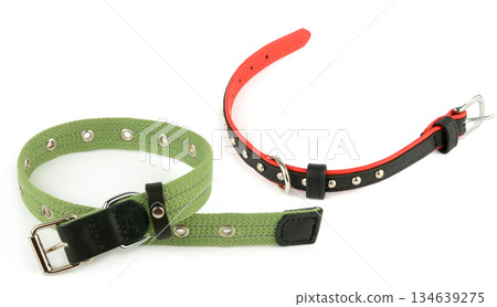 Two Stylish Dog Collars for Small and Medium Pets Two Stylish Dog Collars for Small and Medium Pets 134639275