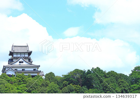 愛知縣犬山市的國寶犬山城風景 134639317