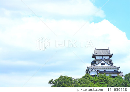Scenery of Inuyama Castle, a national treasure in Inuyama City, Aichi Prefecture 134639318