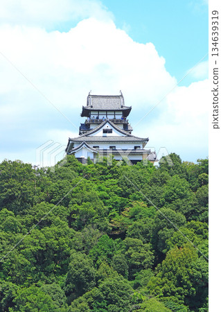 愛知縣犬山市的國寶犬山城風景 134639319